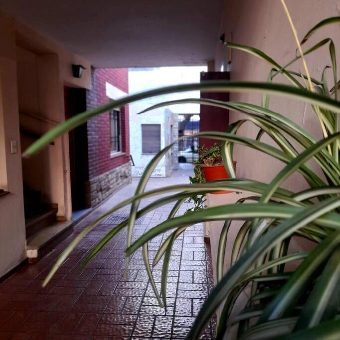 ¨Las Mayolicas¨ Hermoso Depto Con Patio Espanol Mendoza Exteriör bild