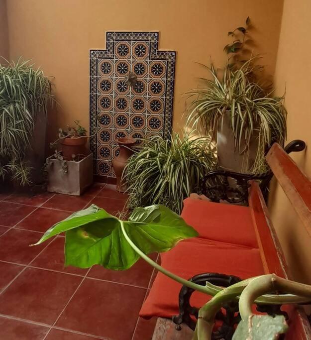 ¨Las Mayolicas¨ Hermoso Depto Con Patio Espanol Mendoza Exteriör bild